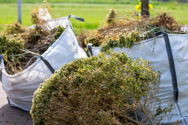 Best Furniture Removal  in Purdy, WA